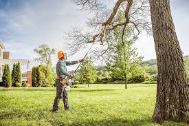 Leaf Removal in Lockhart, FL