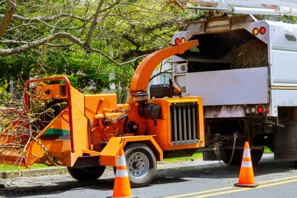 Best Firewood Processing and Delivery  in Lockhart, FL